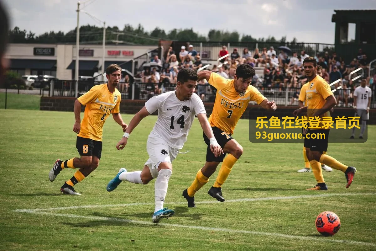 乐鱼在线登录首页登录指南图解