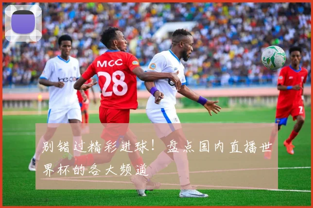 别错过精彩进球！盘点国内直播世界杯的各大频道