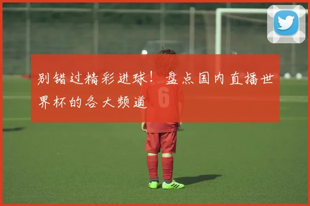 别错过精彩进球！盘点国内直播世界杯的各大频道