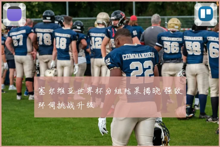 塞尔维亚世界杯分组结果揭晓 强敌环伺挑战升级