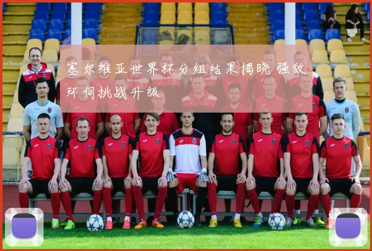 塞尔维亚世界杯分组结果揭晓 强敌环伺挑战升级
