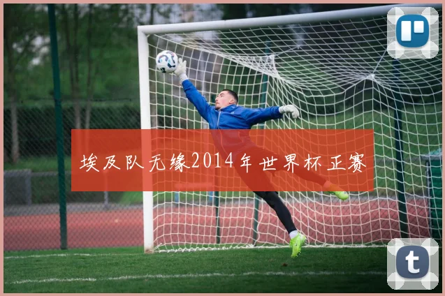 埃及队无缘2014年世界杯正赛
