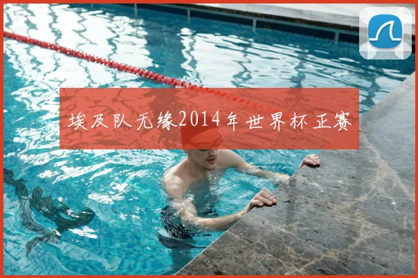 埃及队无缘2014年世界杯正赛