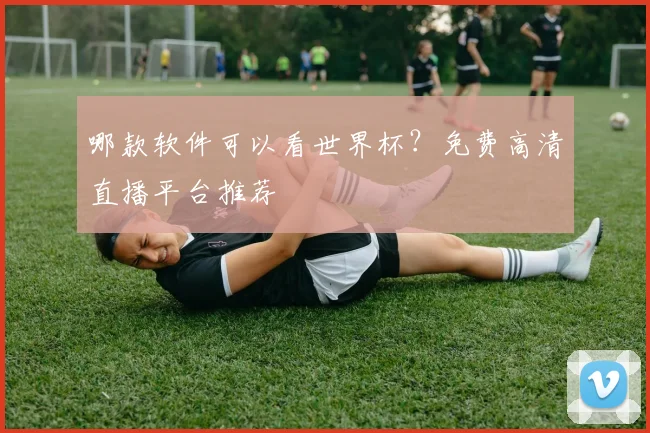 哪款软件可以看世界杯？免费高清直播平台推荐