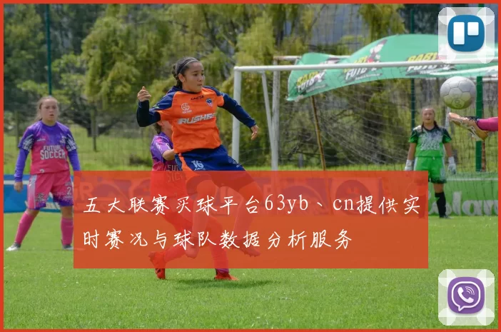 五大联赛买球平台63yb丶cn提供实时赛况与球队数据分析服务