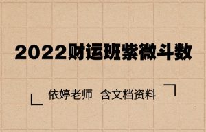 2022财运班紫微斗数文档资料依婷